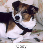 Cody