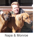 Napa & Monroe