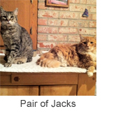 Pair of Jacks