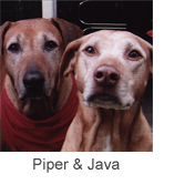 Piper and Java